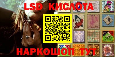 прущие грибы Кандалакша