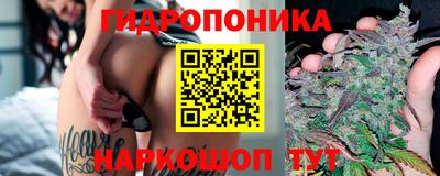 соль ск Камышлов