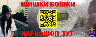 прущие грибы Кандалакша