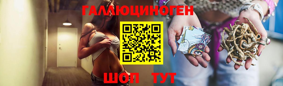 Галлюциногенные грибы GOLDEN TEACHER  Вход с VPN  Владимир 